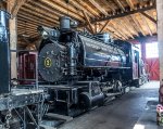 Southern Wood Preserving Company 0-4-0T steam locomotive number 3 at Age of Steam Roundhouse